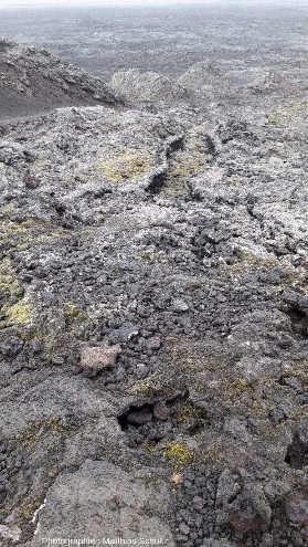 Détails d'une coulée basaltique émise par le volcan Krafla lors des « nouveaux feux du Mývatn », en 1975-1984, Islande