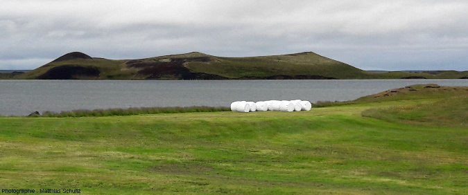 Pseudocratères d'un peu plus grande taille, sur un des nombreux ilots du lac Mývatn (Islande), vus depuis Skútustaðir