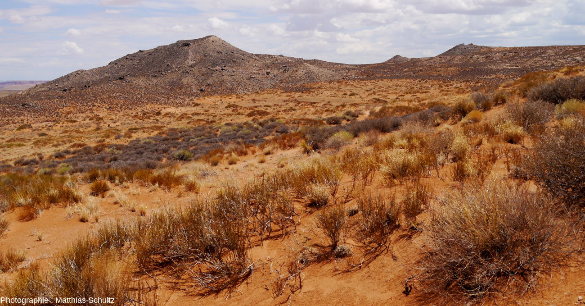 Un diatrème mineur, très érodé, à proximité du village de Mexican Water, Arizona