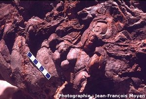 Stromatolites fossiles vieux de 3,5 Ga, Pilbara, Australie