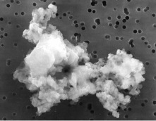 Une micro-météorite (ou grain cométaire), recueillie par un avion stratosphérique de la Nasa (dimension : 10 μm)