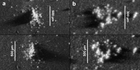 Photographies (sous 2 angles d'éclairage différents) de deux grains de poussière cométaire collectés par COSIMA entre le 25 et 31 octobre 2014 