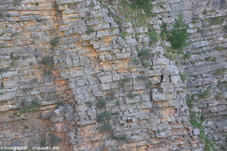 Débit en blocs cubiques sur les falaises des barres calcaires de Roya