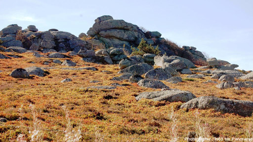 Chaos granitique de la Margeride, découvert "au hasard" en se baladant sur Panoramio