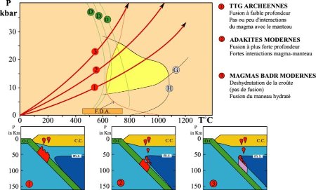 Analogue à la figure 10, mais en montrant trois situations différentes, celles des subductions « normales » actuelles, celle des adakites actuelles et celles des TTG archéennes