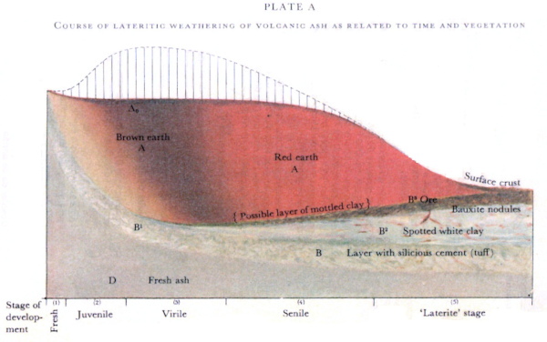 Évolution de l’altération latéritique de cendres volcaniques en fonction du temps et de la végétation
