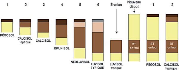 Exemple d’évolution de sols issus de lœss