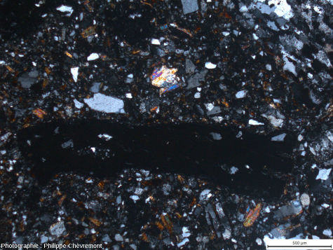 Lame mince de suévite de type Chassenon, avec un fragment de verre opaque (au milieu), et un élément de gneiss (en haut à droite) dans une matrice clastique - LPA