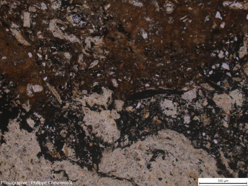Lame mince de brèche de type Montoume, avec (en bas) un élément de roche de socle fortement choqué, se rapprochant d'un verre diaplectique - LPNA