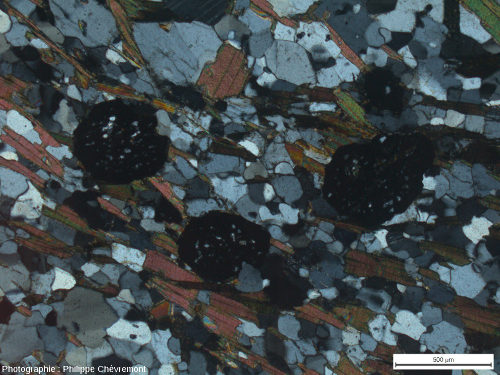 Paragneiss quartzo-plagioclasique à biotite et grenat (UIG) non choqué, à 7,5 km au NNW du centre de l'astroblème - LPA