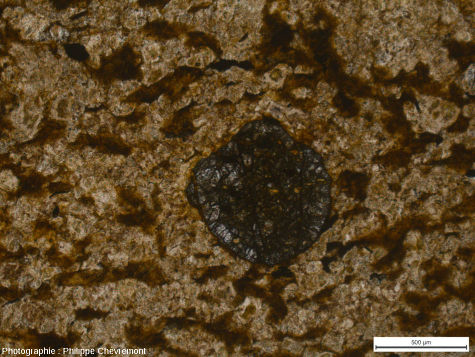 Paragneiss quartzo-plagioclasique à biotite et grenat (UIG) fortement choqué, dans une "brèche" de type Babaudus, près de Babaudus au centre de l'astroblème - LPNA
