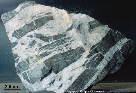 Brèche hydrothermale à éléments de lamprophyre et ciment de quartz
