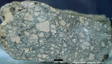 Échantillon de brèche de dislocation monolithologique développée aux dépens d'une amphibolite, carrière de Champagnac