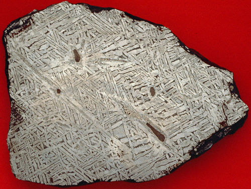 Plaque sciée d'une météorite de type fer avec les figures de Widmanstätten caractéristiques