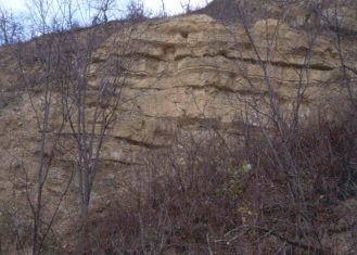 Marno-calcaires, sédiments type de Limagne d'Allier (falaise du Puy St Romain)