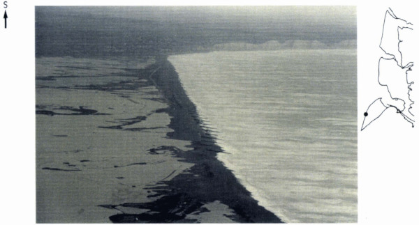 La submersion des bas-champs en février 1990