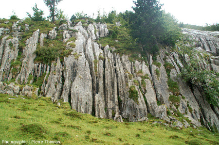 Exemple de karst (La Pierre-Saint-Martin, Pyrénées Atlantiques) où les eaux de ruissellement chargées de CO2 dissolvent la roche