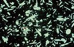 Périphérie de lave basaltique en coussin au microscope, lumière polarisée non analysée (LPNA)