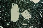Cœur de pillow basaltique au microscope, lumière polarisée non analysée (LPNA)