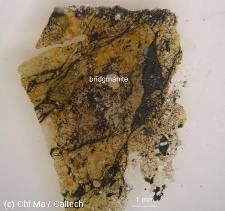 Veine de choc dans la météorite Tenham, dans laquelle la bridgmanite a pu être décrite