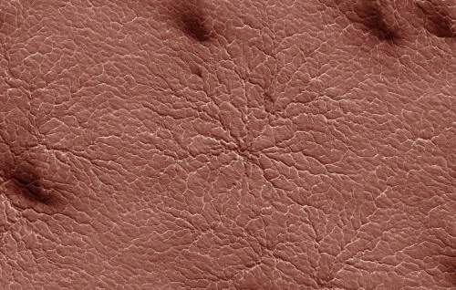 Calotte polaire Sud de Mars :« peau de lézard », structure en araignée (au centre) et taches noires printanières (éventails)