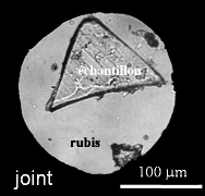 Observation par microscopie optique au travers d'un des diamants d'un échantillon entouré d'un milieu de compression.