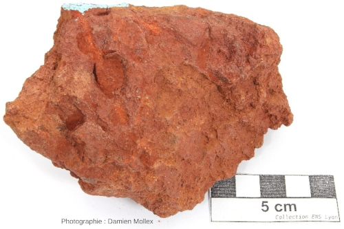 E1-3. Échantillon de cuirasse latéritique oligocène du Massif Central