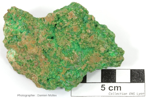 E1-5. Échantillon de garniérite de Nouvelle-Calédonie