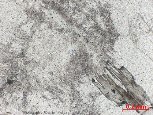Lame mince de granite altéré, détail sur les feldspaths altérés et les biotites chloritisées, LPNA