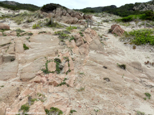 Filon d'aplite intrusif dans des granites, ile de La Maddalena (Sardaigne)