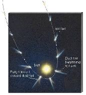 Position de la queue d'une comète par rapport au Soleil