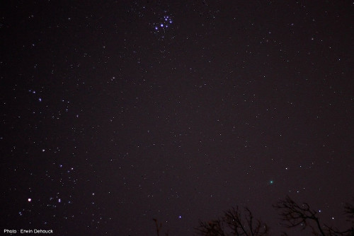La comète C/2014 Q2 Lovejoy (en bas à droite), le soir du 13 janvier 2015, dans la constellation du Taureau