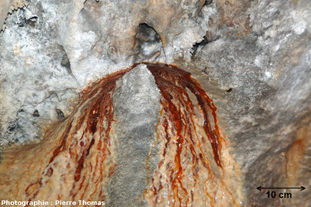 La chimio-lithotrophie en action, grotte de Cornadore, Saint Nectaire (Puy de Dome)