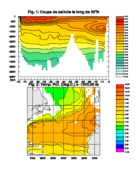 Coupe de salinité le long de 36°N et carte des températures à 1 000 m de profondeur