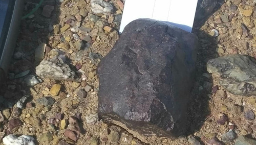 Une chondrite trouvée en 2018 en Mongolie