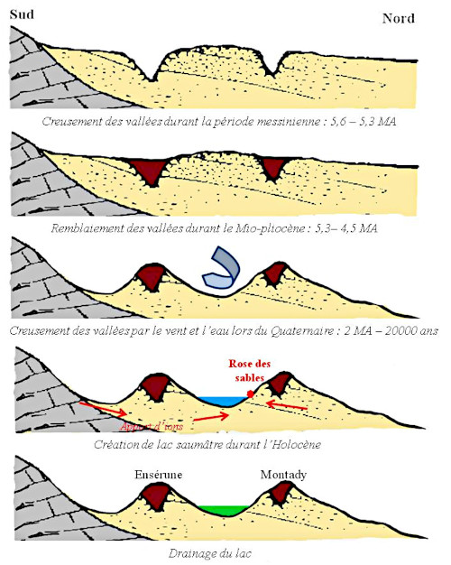 La formation des roses des sables du bassin de Montady (Hérault)