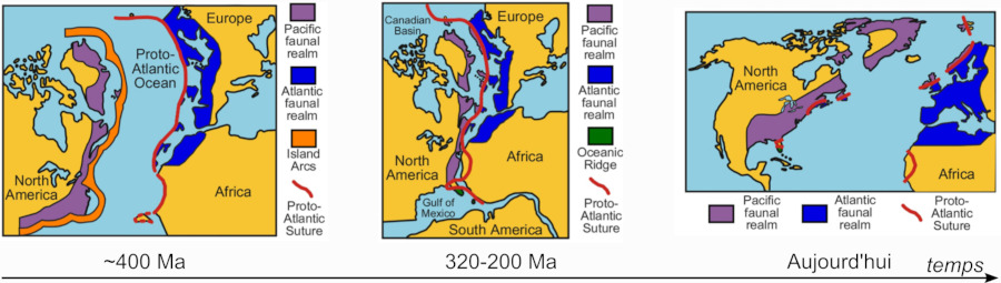 Fermeture de l'océan Proto-Atlantique (renommé depuis océan Iapétus) au cours de la formation de la Pangée il y a 320 Ma (suture indiquée en rouge), suivi de la réouverture d'un océan à peu près au même endroit, l'océan Atlantique, lors de la fragmentation de la Pangée il y a environ 200 Ma