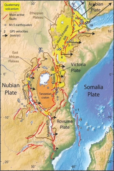 Carte topographique du Rift Est-Africain, montrant les structures géologiques principales de ce contexte géodynamique