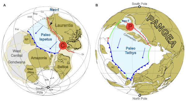 Comparaison des scénarios d'ouverture des océans Iapétus et Téthys, en association avec des provinces magmatiques géantes