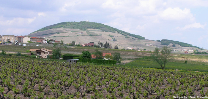 Le mont Brouilly vu depuis le vignoble d’Odenas (Rhône), vers le Nord-Nord-Est