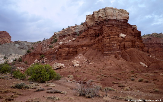 Argilites grises de la formation Chinle (à gauche) situées au même niveau que les grès silteux et argileux rouges de la formation Moenkopi (à droite)