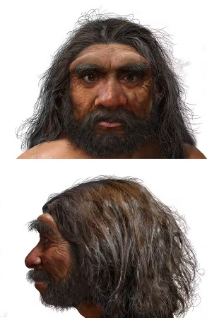Reconstitution du visage et de la tête d’Homo longi d'après le crâne de Harbin