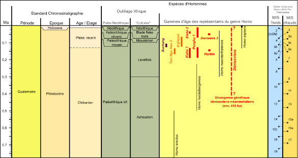 Répartition chronostratigraphique des fossiles attribués aux dénisoviens et extension temporelle supposée des dénisoviens d'après les données génétiques