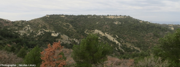 Point de vue, vers l'Ouest-Sud-Ouest, sur le plateau de Sèze subhorizontal (Miocène) reposant sur des couches redressées (pendage 40° N-O) du Crétacé inférieur