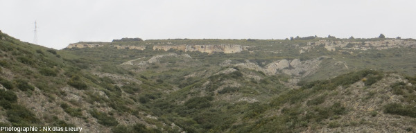 Point de vue, vers le Nord, sur le plateau de Sèze subhorizontal (Miocène) reposant des couches redressées (pendage 40° N-O) du Crétacé inférieur de la Chaine des Costes (Bouches-du-Rhône)