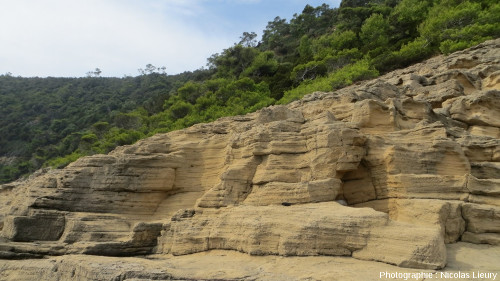 Vue d'ensemble de la dune fossile de la plage du Tuf au Sud-Est de l'île de Port-Cros