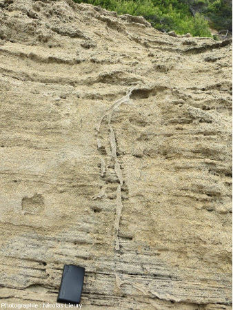 Bioturbation dans la dune fossile de la Pointe du Tuf, Sud-est de l'île de Port-Cros, Var