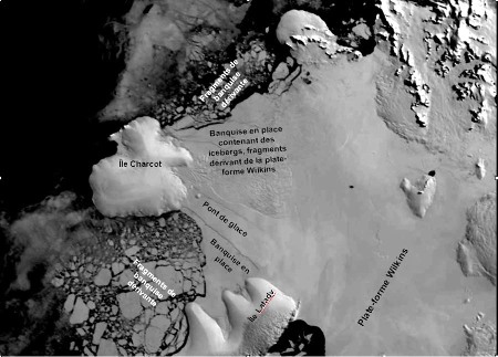 Plate-forme Wilkins (Antarctique) : état du pont de glace en février 2003
