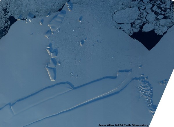 Icebergs pris dans la banquise en bordure de l'océan, côte de la Princesse Ragnhild, Antarctique