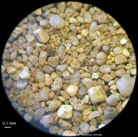 Aspect microscopique des grains de sables des dunes continentales de Sermoyer
